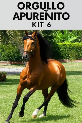 Kit uds orgullo tigrito - 6,