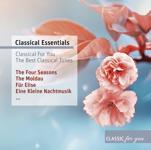 Più grande classica tunes - cd,